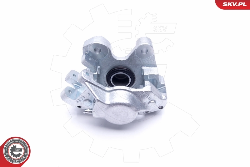Brake Caliper 46SKV023