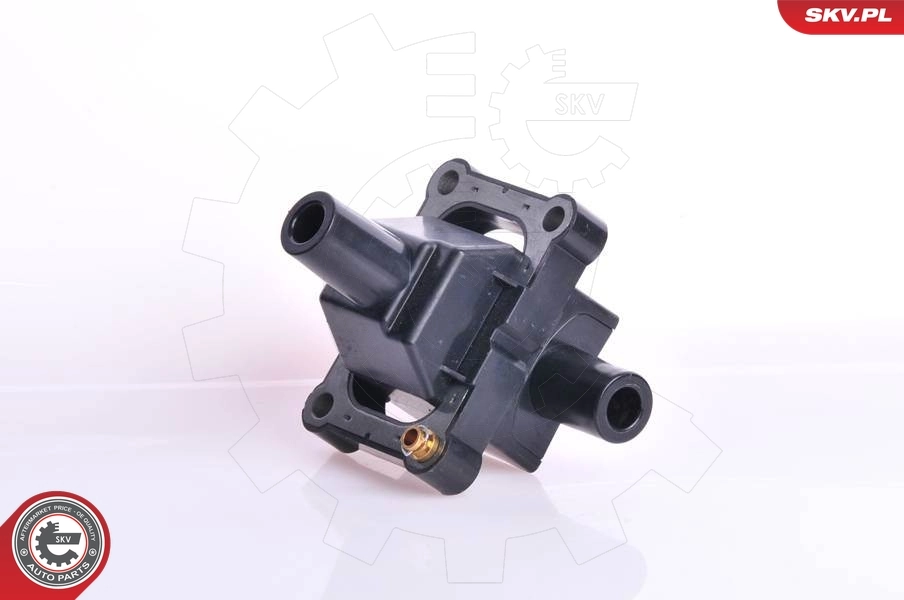 Ignition Coil 03SKV053