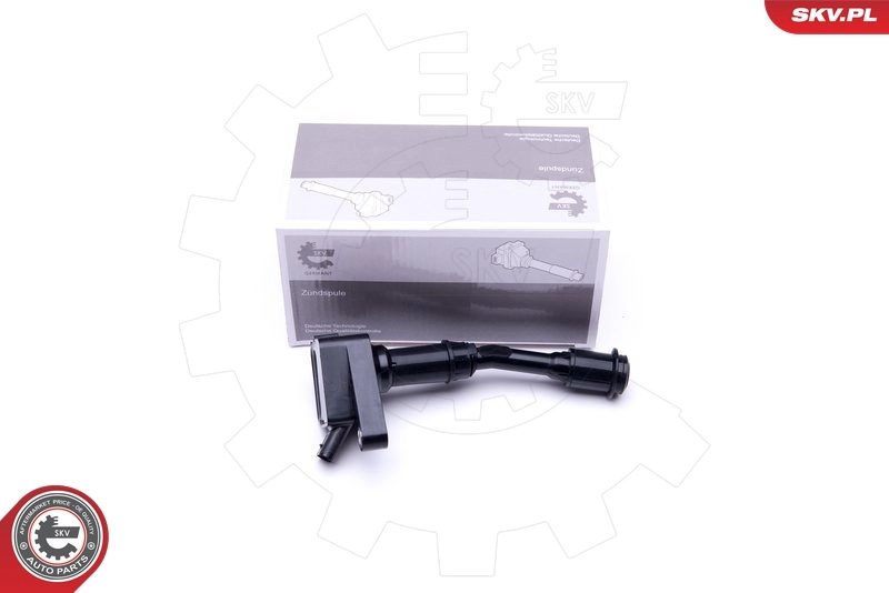 Ignition Coil 03SKV274