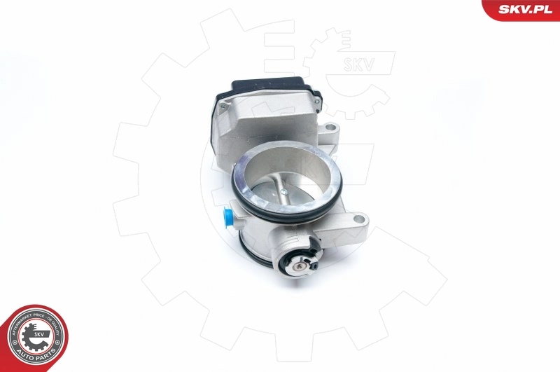 Throttle Body 12SKV051
