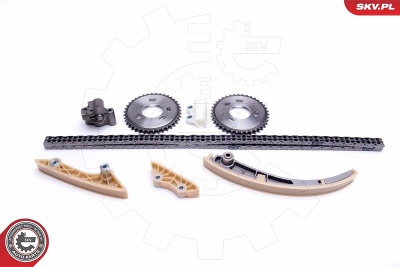 Timing Chain Kit 21SKV245