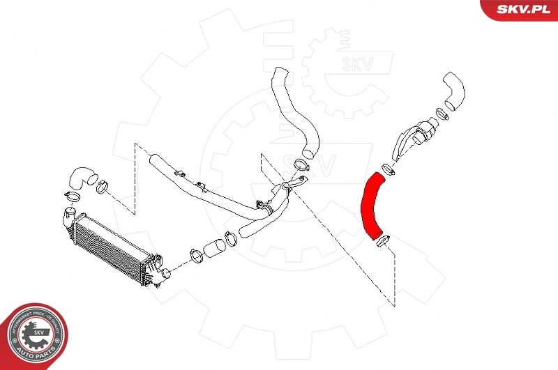 Charge Air Hose 24SKV583