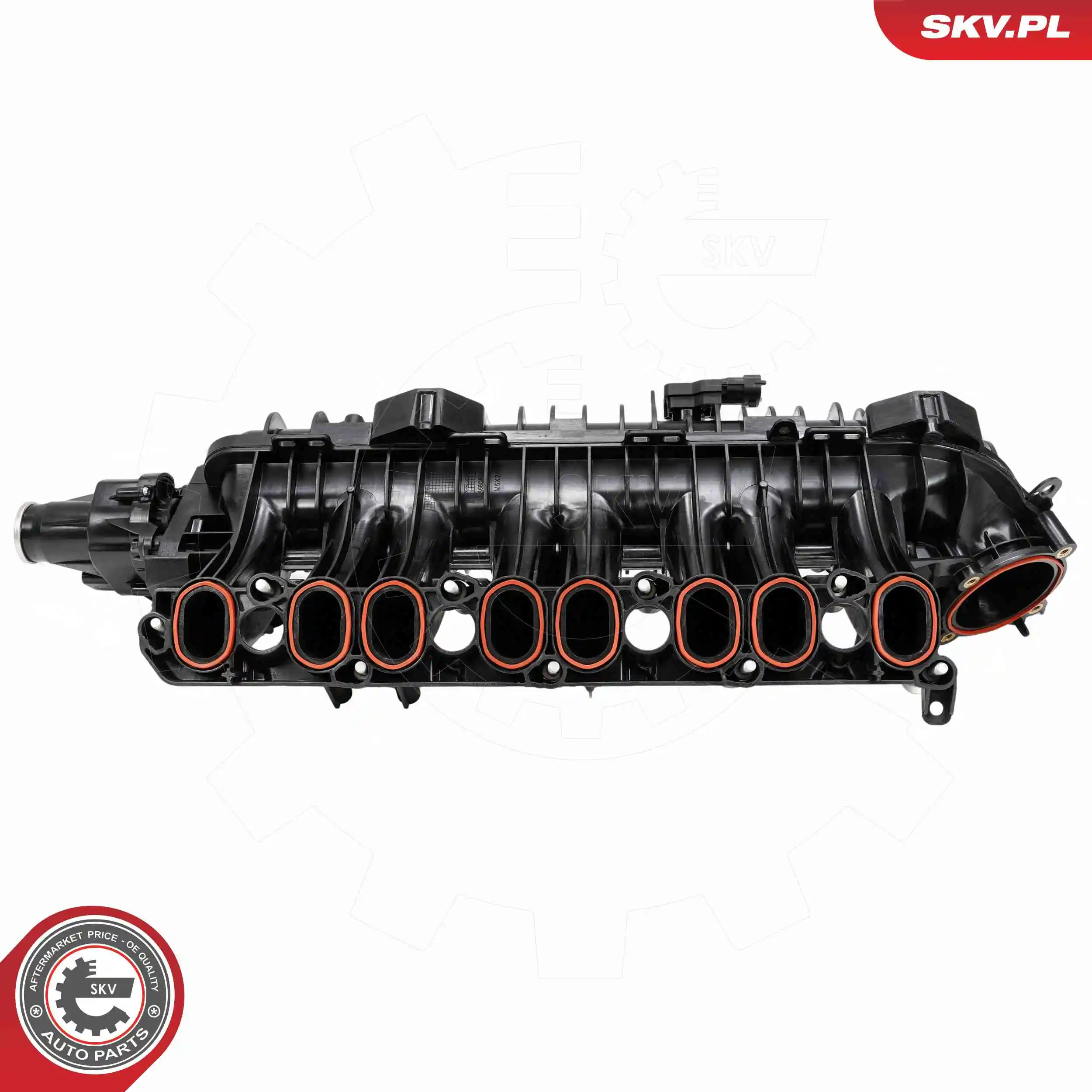 ESEN SKV 49SKV090 Intake Manifold Module