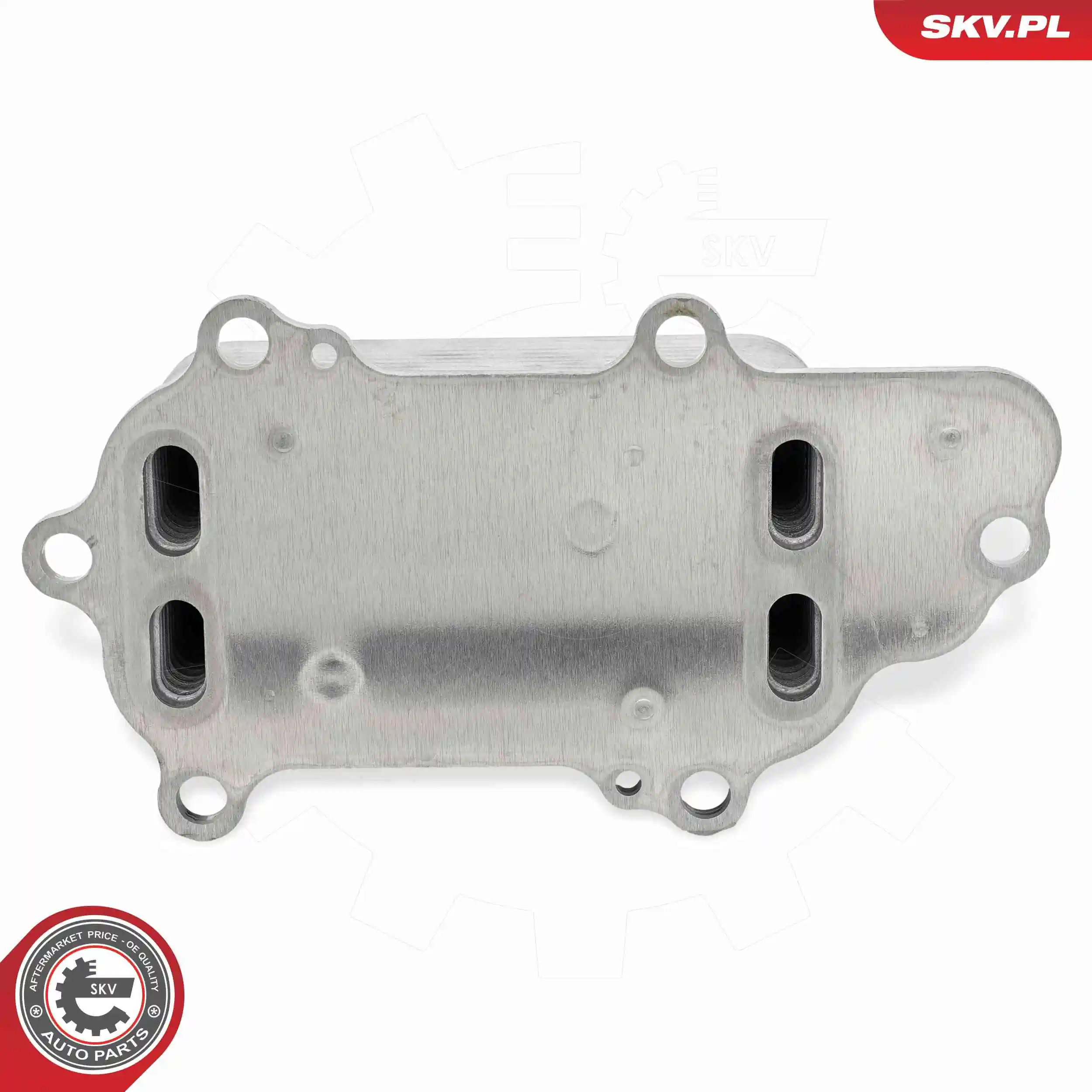 Oil Cooler, engine oil 31SKV380