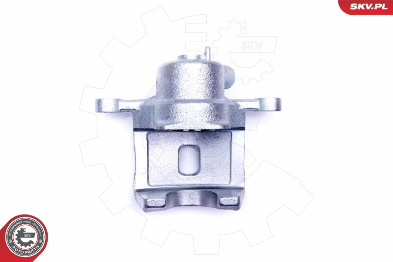 Brake Caliper 46SKV113