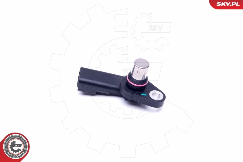 Sensor, camshaft position 17SKV493