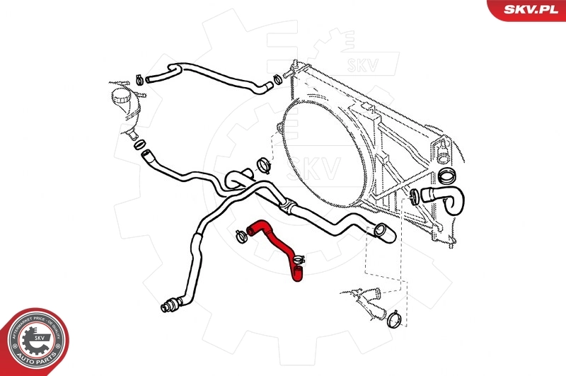 Radiator Hose 24SKV327
