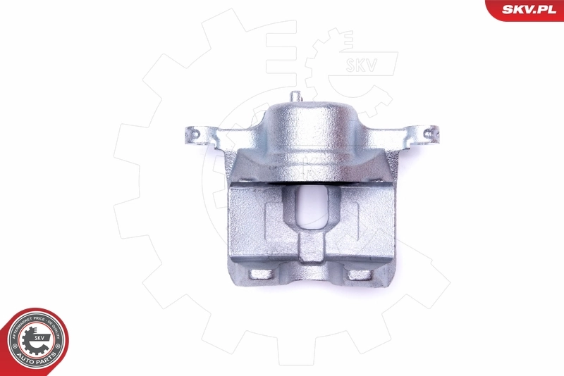 Brake Caliper 42SKV691