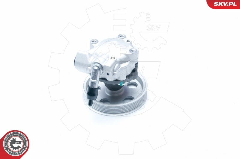 Hydraulic Pump, steering 10SKV185