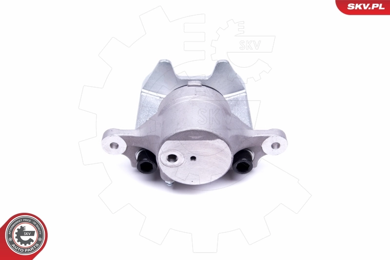 Brake Caliper 50SKV312