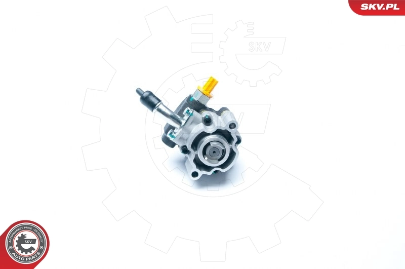 Hydraulic Pump, steering 10SKV189