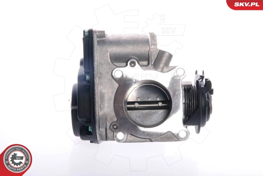 Throttle Body 12SKV024