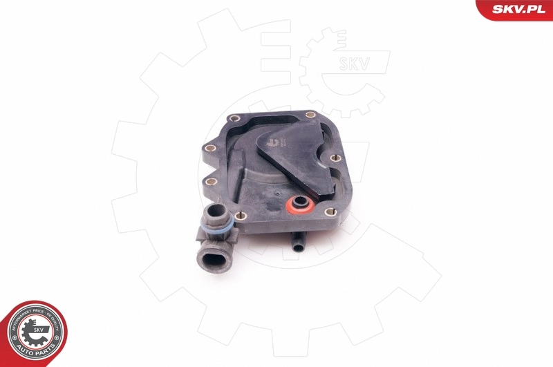 Hose, crankcase ventilation 31SKV031