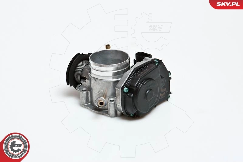 Throttle Body 12SKV036
