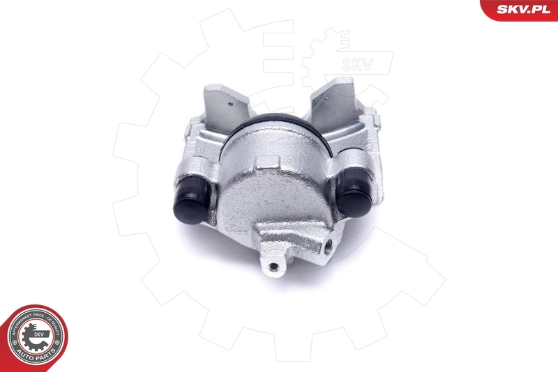 Brake Caliper 46SKV871