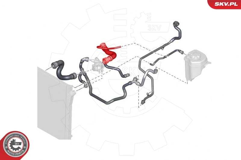 Radiator Hose 43SKV732