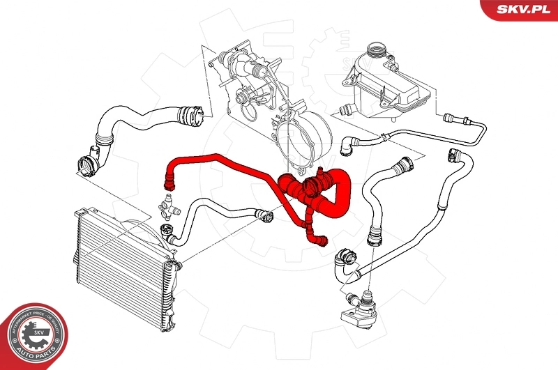 ESEN SKV 24SKV258 Radiator Hose