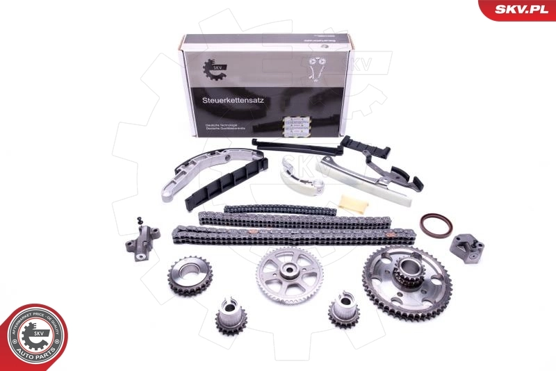 Timing Chain Kit 21SKV202
