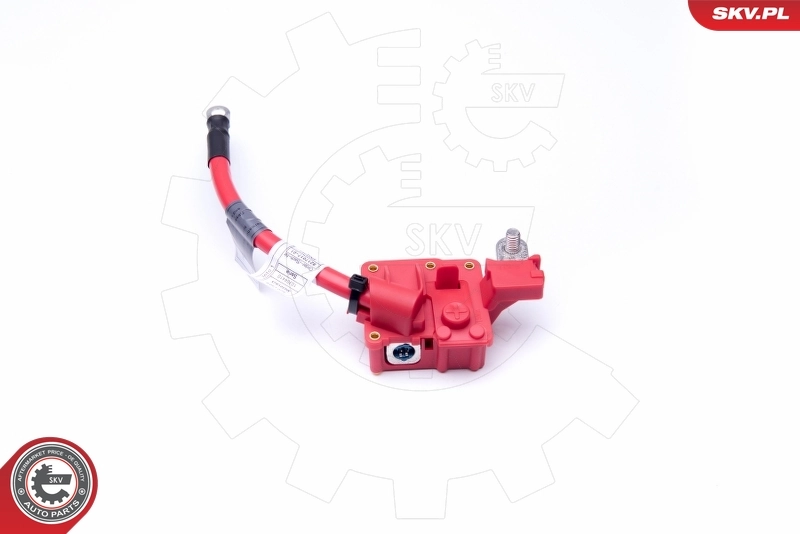 ESEN SKV 96SKV309 Battery Adapter