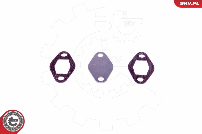 ESEN SKV 14SKV548 Repair Set, EGR valve