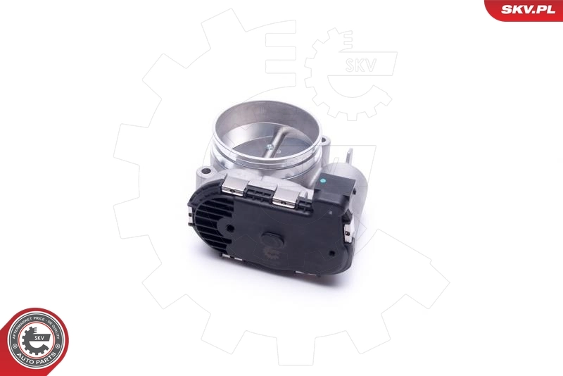 Throttle Body 12SKV105