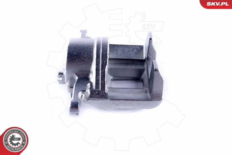 Brake Caliper 55SKV241