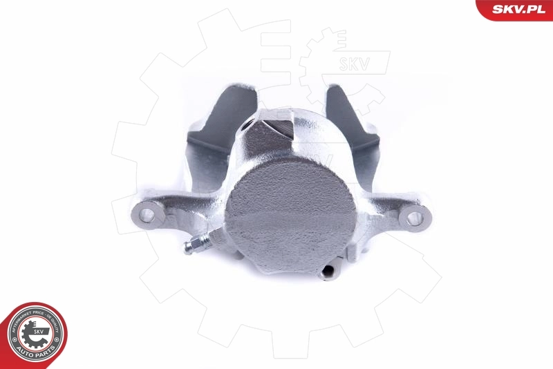 Brake Caliper 55SKV132