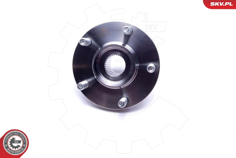 ESEN SKV 29SKV502 Wheel Bearing Kit