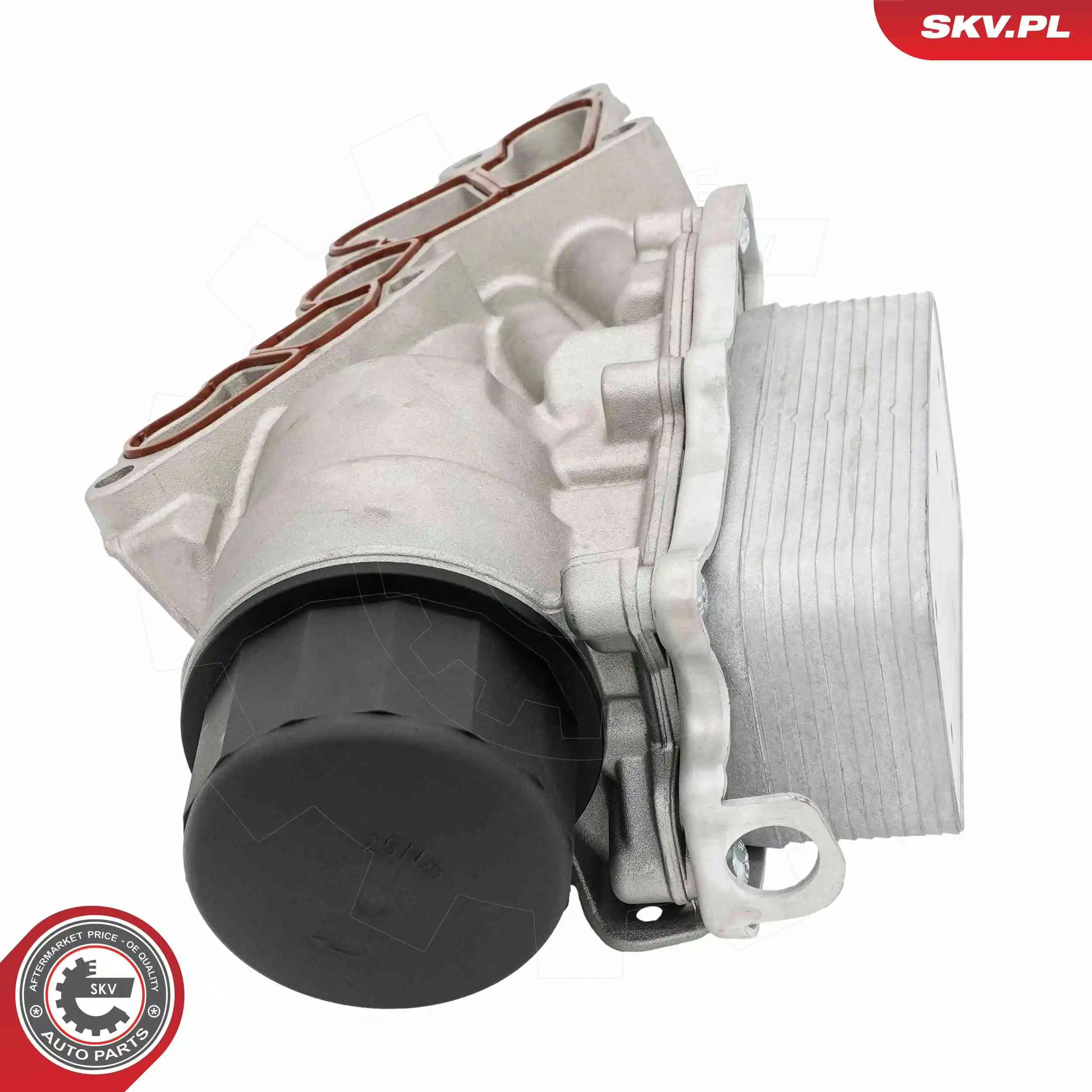 Oil Cooler, engine oil 31SKV324