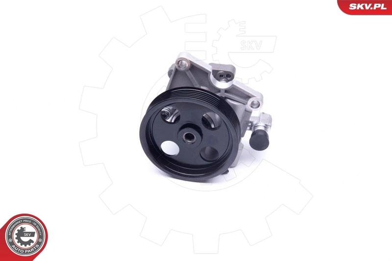 Hydraulic Pump, steering 10SKV273