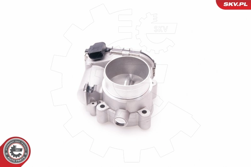 Throttle Body 12SKV054