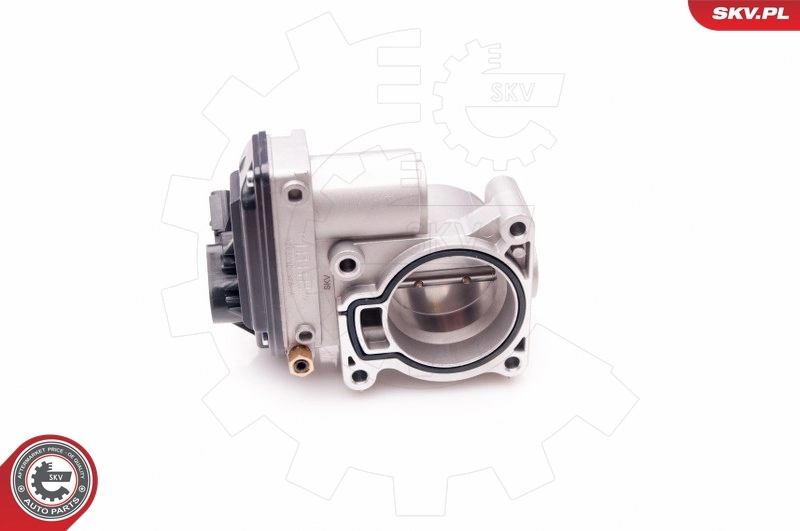 Throttle Body 12SKV069