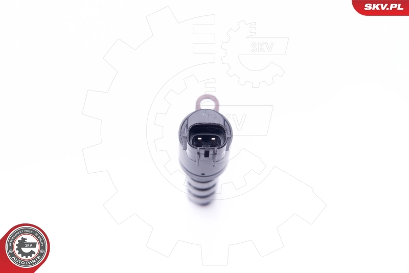 Control Valve, camshaft adjustment 39SKV023