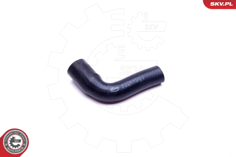 Radiator Hose 43SKV861