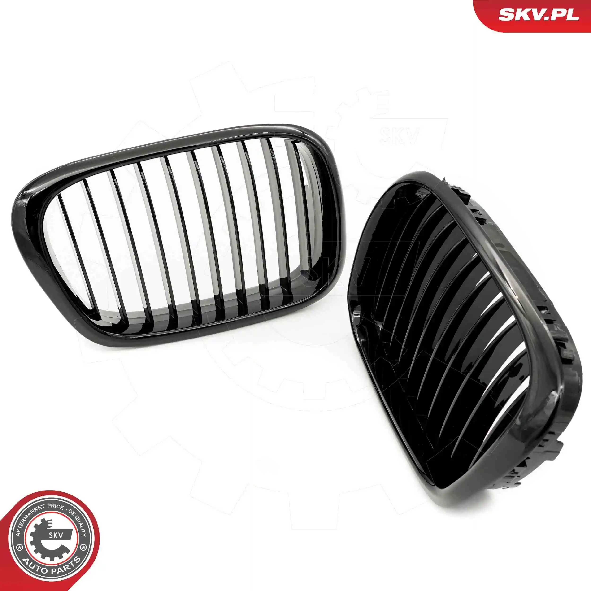 Radiator Grille 66SKV156