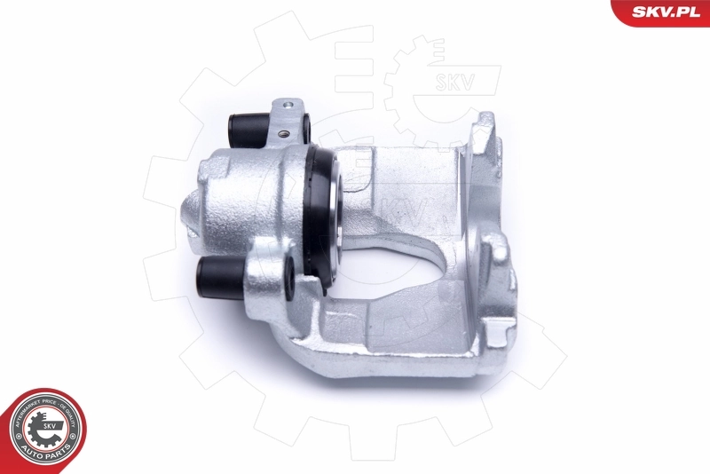 Brake Caliper 50SKV302