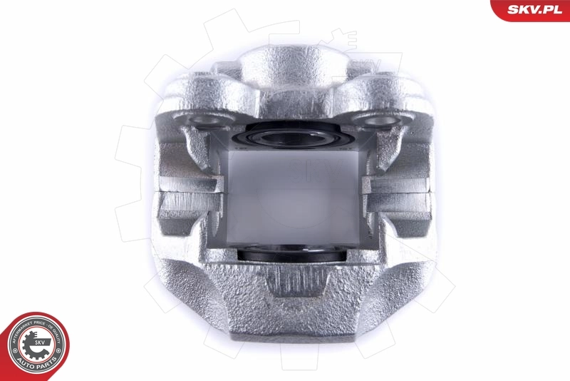 Brake Caliper 55SKV351