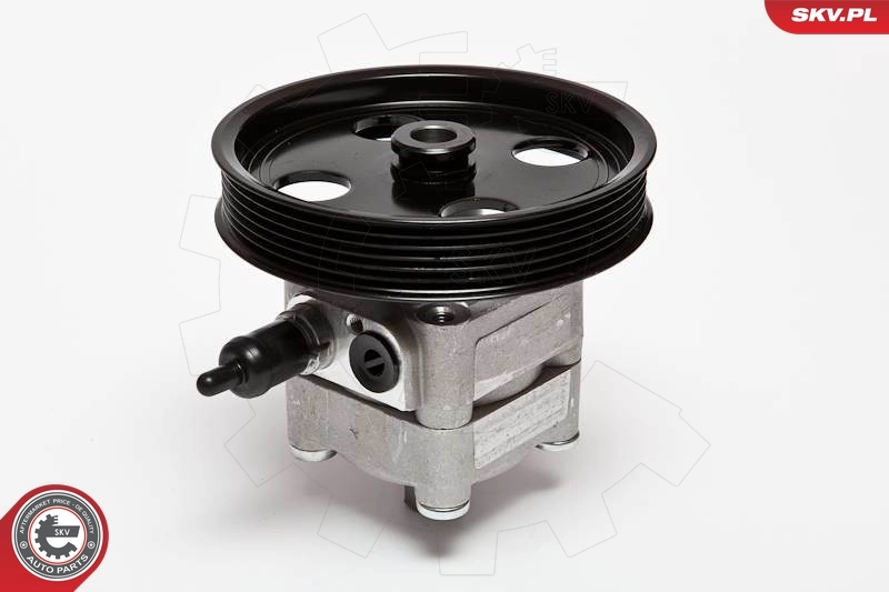 Hydraulic Pump, steering 10SKV092
