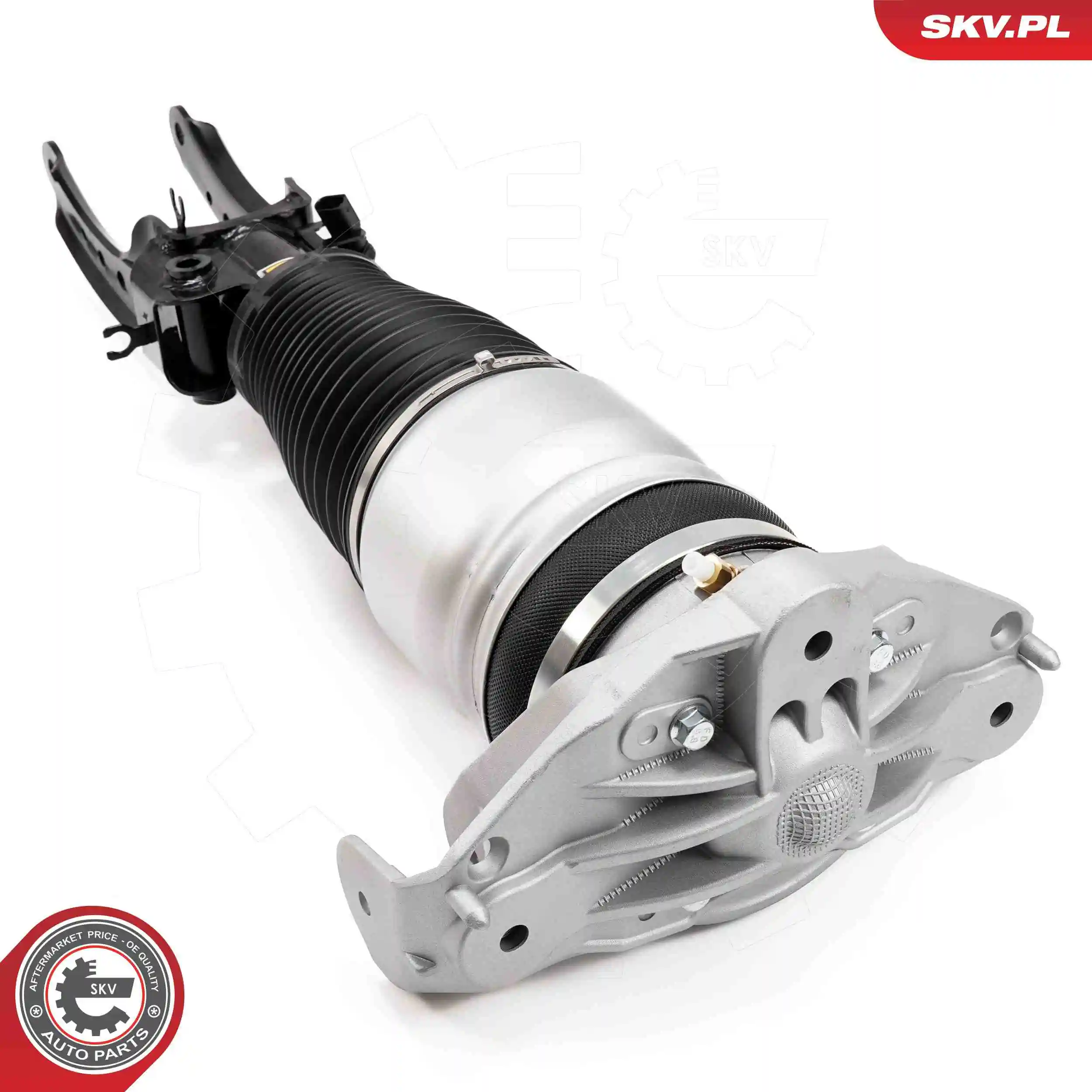 Air Suspension Strut 58SKV704