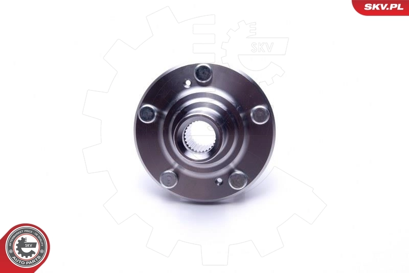 ESEN SKV 29SKV467 Wheel Bearing Kit