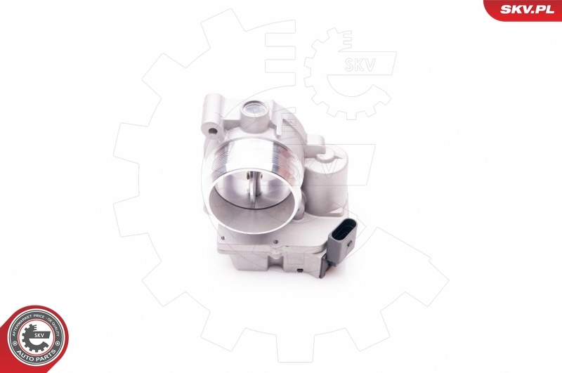 Throttle Body 12SKV056