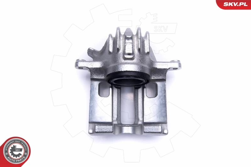 Brake Caliper 50SKV951