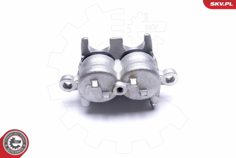Brake Caliper 50SKV912