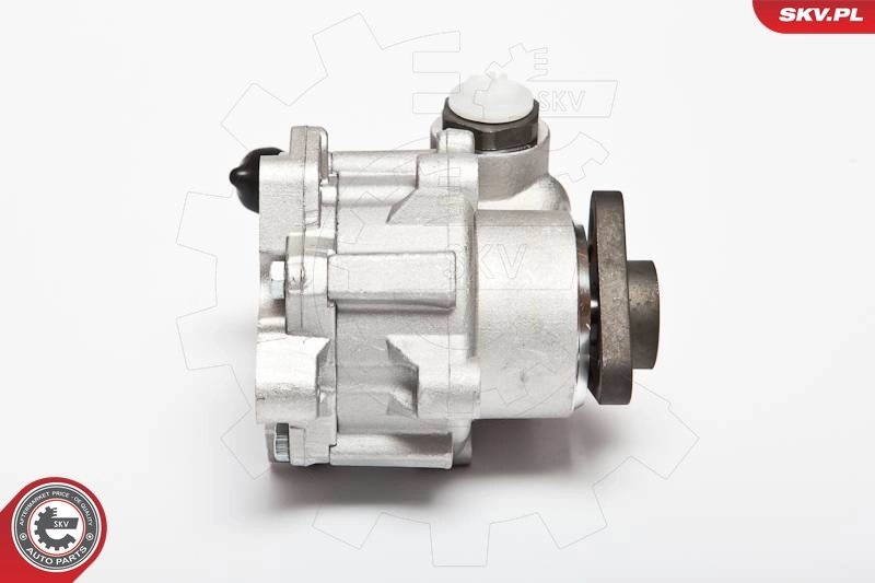 Hydraulic Pump, steering 10SKV015