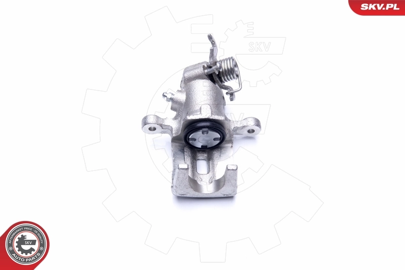 Brake Caliper 45SKV053