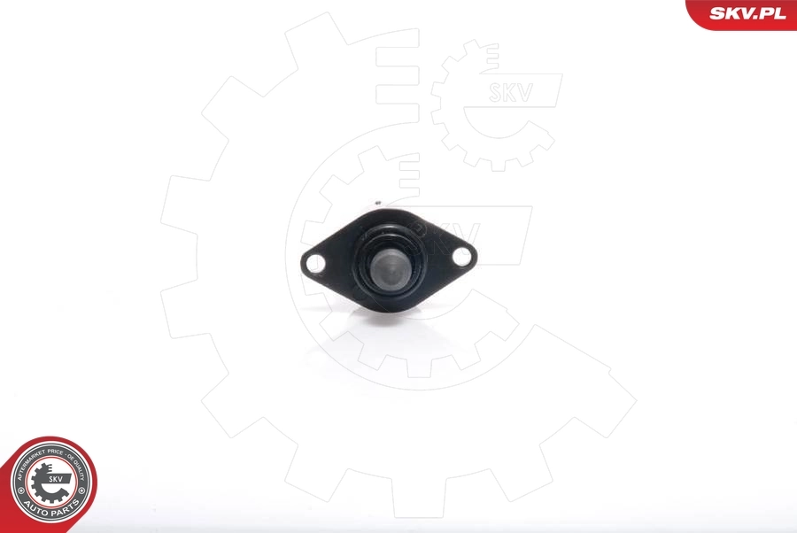 Idle Control Valve, air supply 08SKV033