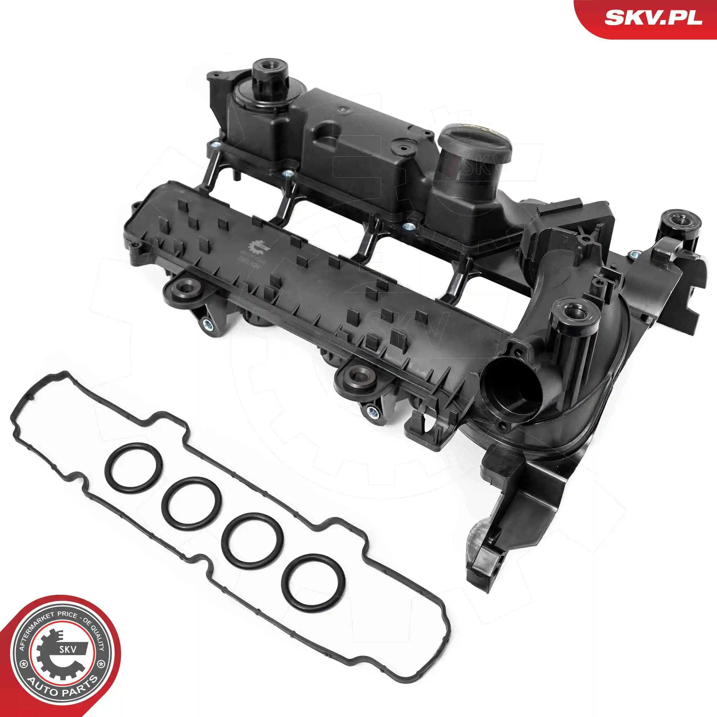 Cylinder Head Cover 48SKV099