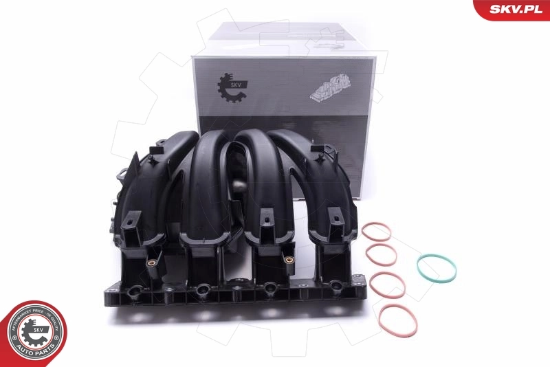 Intake Manifold Module 49SKV042