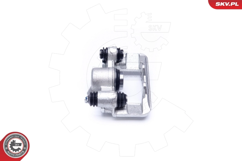 Brake Caliper 42SKV283