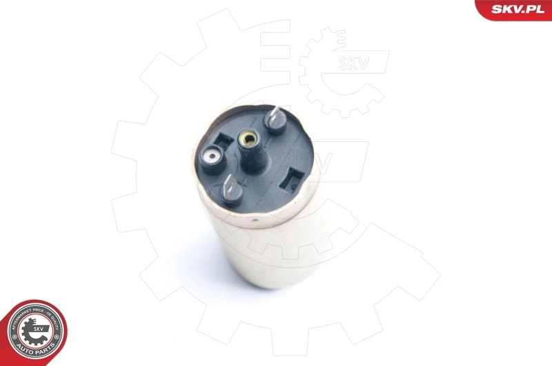 Fuel Pump 02SKV236